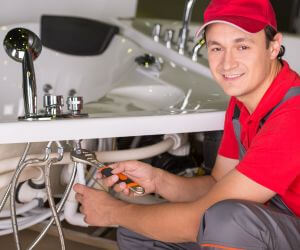 About The Faucet Pros Williamsville, IL